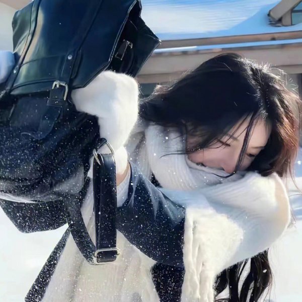 双生神捕之墙头马上